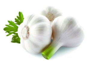 (Allicin) -Garlic Extract The Sterilization Allicin